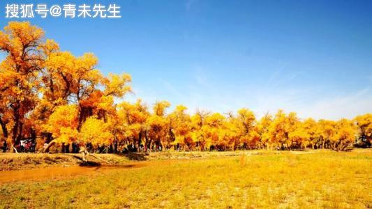 劫财是与日元五行属性相同,阴阳各异的字,即甲木日出生的人以乙木为