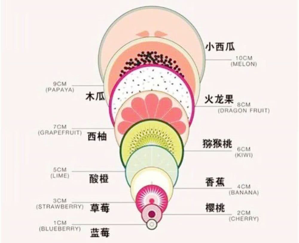 宫口开十指是多大图片