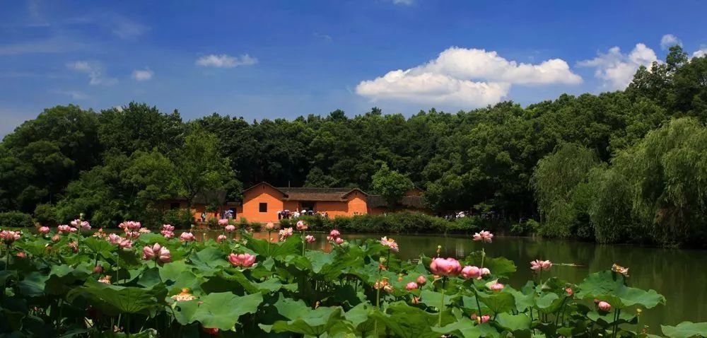 好消息花明楼将建设红色文旅小镇