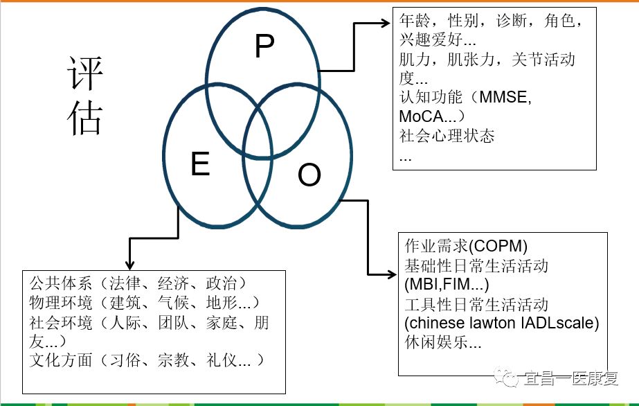 [PEO模式]的作业治疗在偏瘫患者中的应用_康复