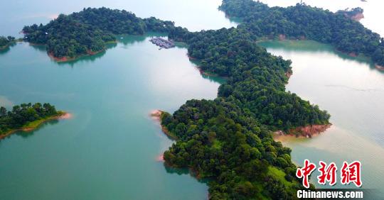 航拍广东万绿湖风景如画_总面积