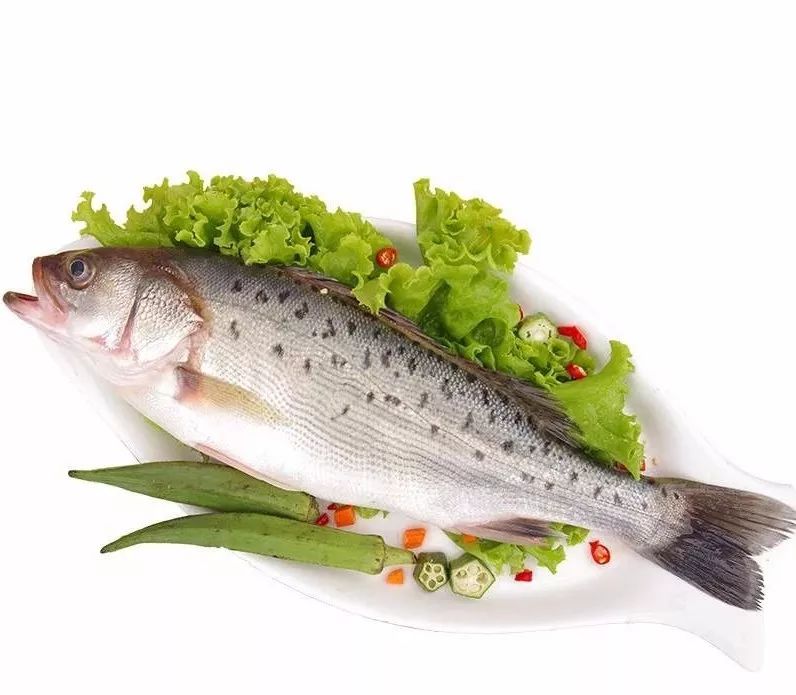 金花小厨鱼与熊掌不可兼得我选清蒸鲈鱼