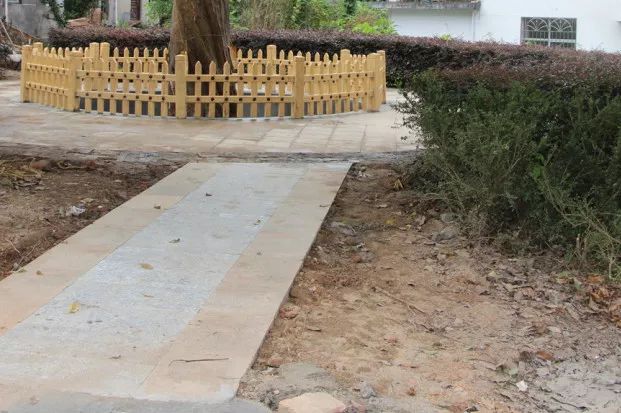 余坊乡对古树进行了专门护理,专人管理,并且做了围栏进行维护.