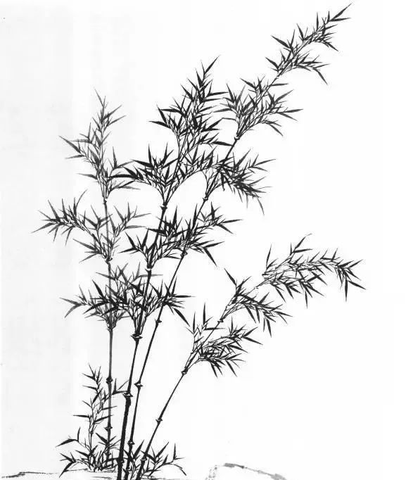 山水画基础技法,树,竹,芦苇