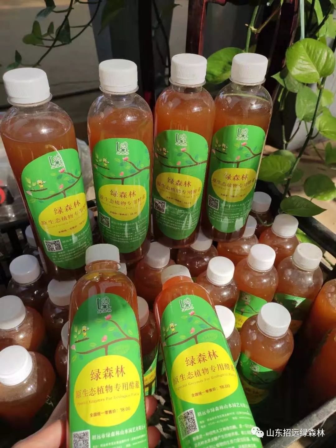 原生态植物专用酵素热乎乎出炉了会员半价9元