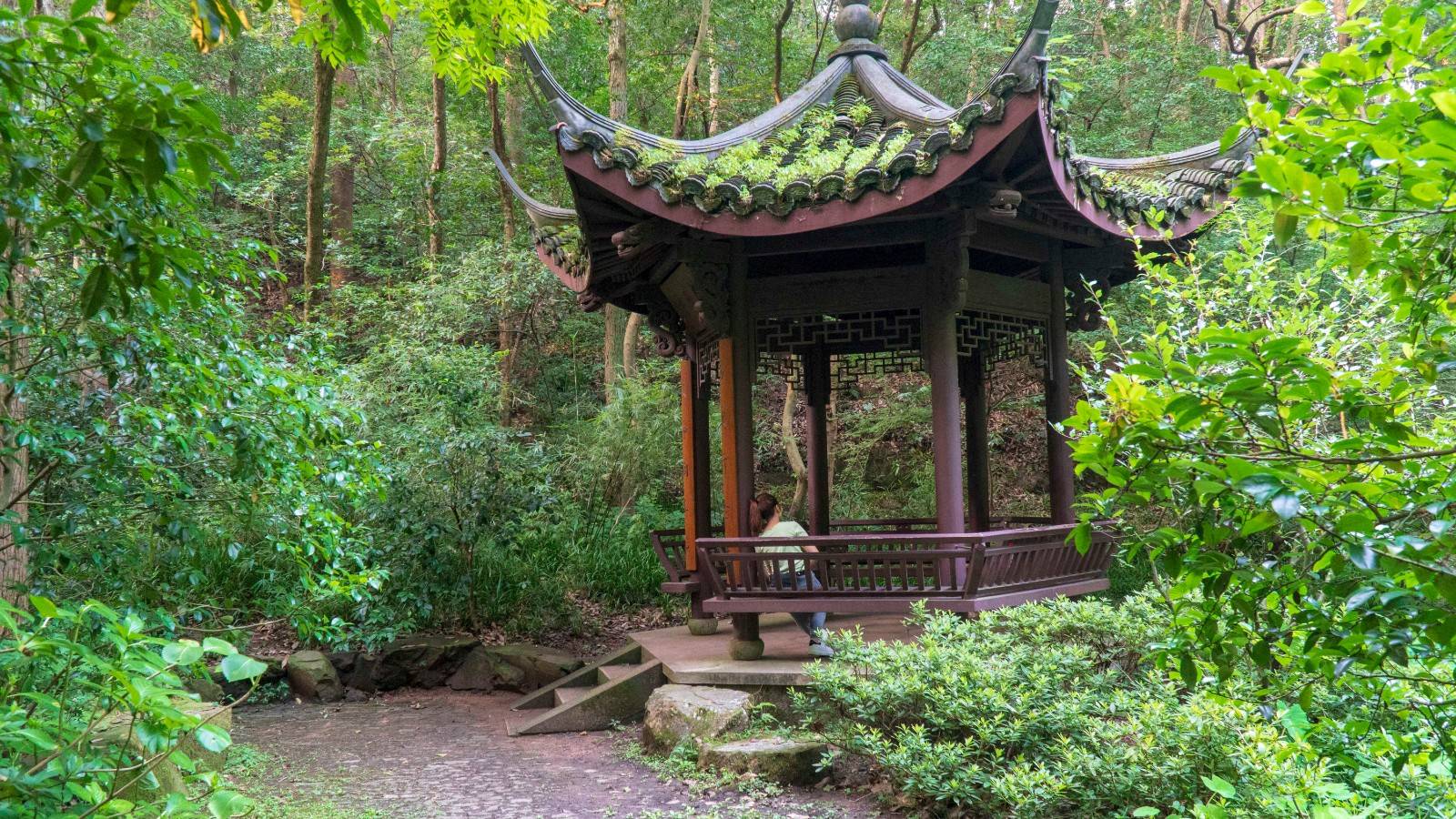 夏天來杭州不得不去的地方,杭州虎跑公園,西湖深處的天然氧吧_泉水