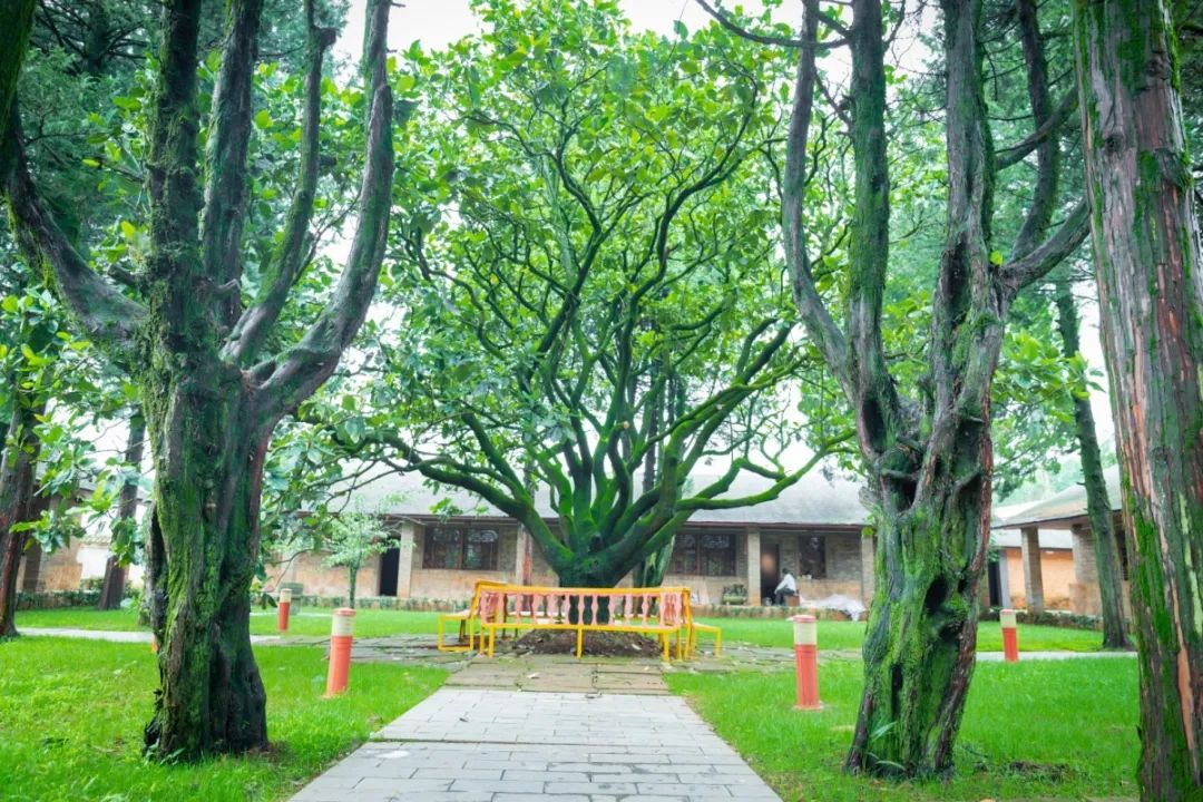 雲南紅色旅遊去哪裡？昆明周邊1小時達的遊玩地，已經安排明白 旅遊 第4張