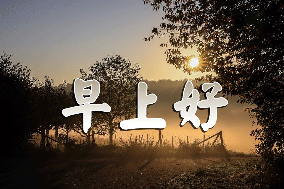 早上好图片祝福语2019早上好问候语阳光句子