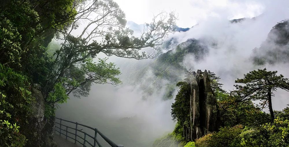 "首届江西森林旅游节"安福分会场现场直播!_羊狮