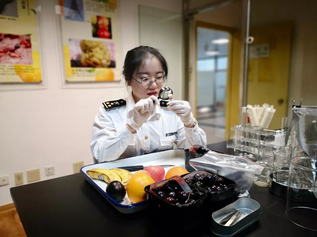 制服一片丹心守国门海关男神练就火眼金睛