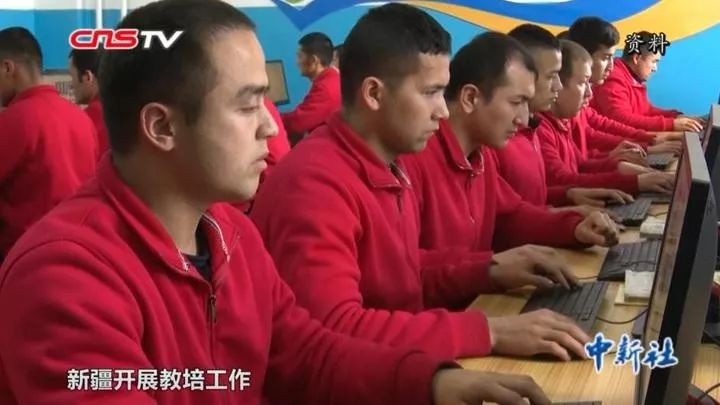 海外侨领关注新疆教培工作冀新疆更美丽稳定富饶