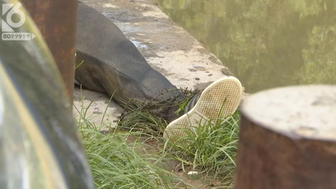 疑似情侣殉情一河里捞起两具尸体