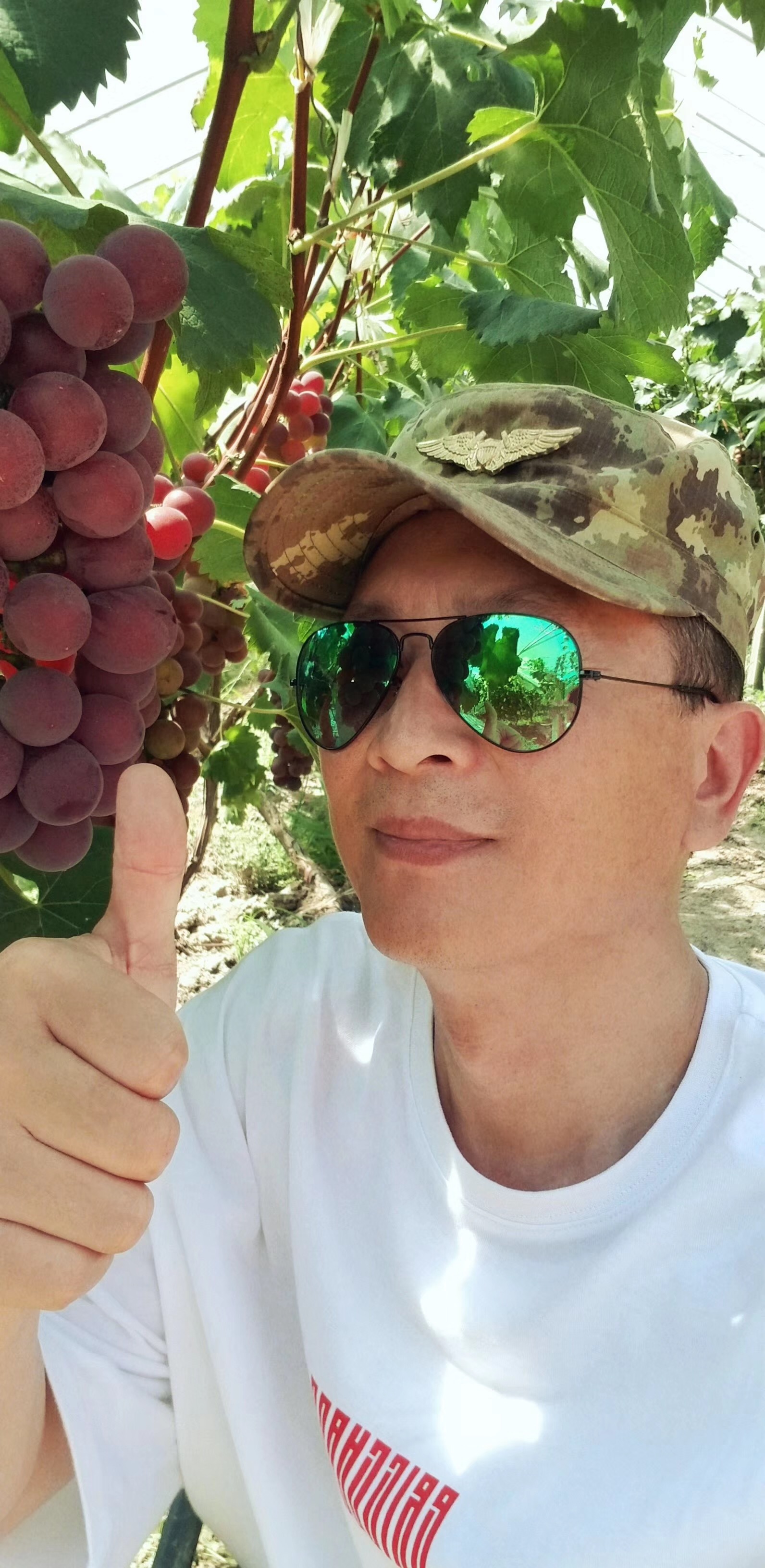 原创张弓从影三十多年风中赏雪雾里看花