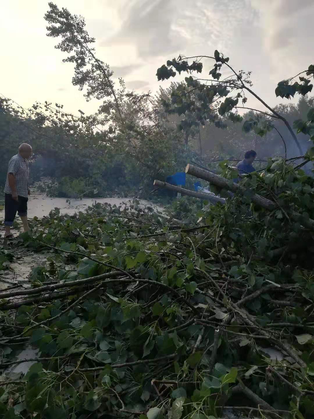 走访慰问冰雹受灾贫困户 天灾无情人有情