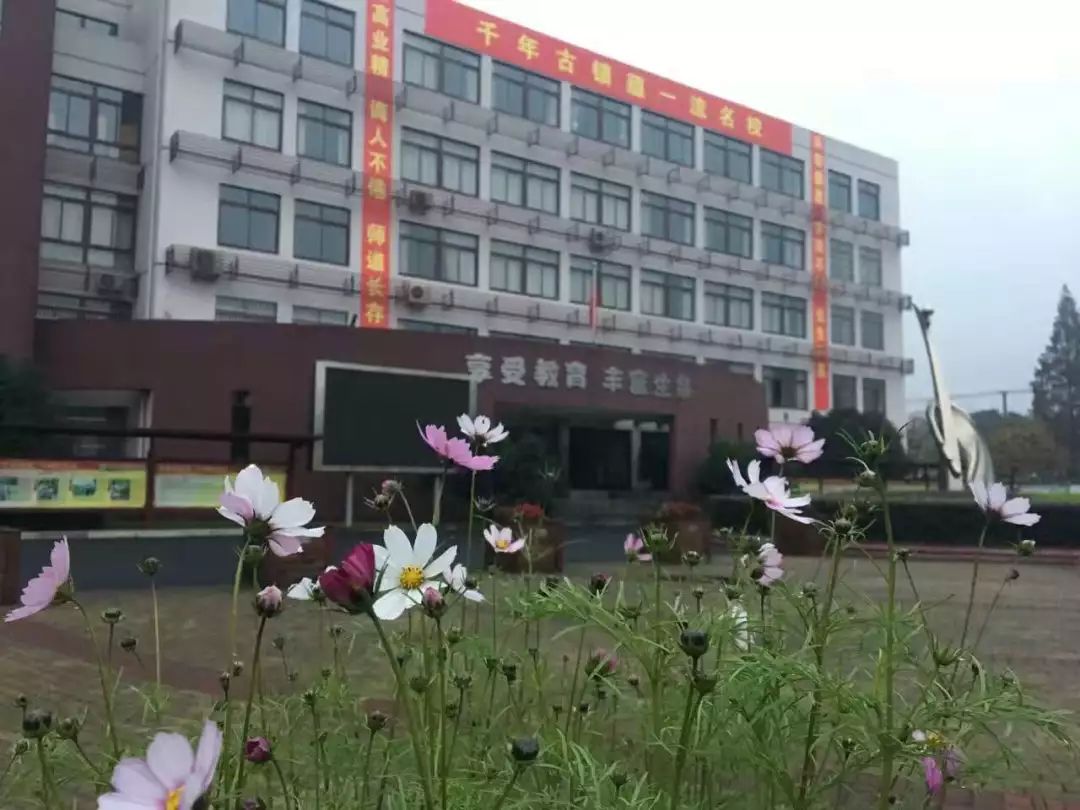 太炎中学北校区图片