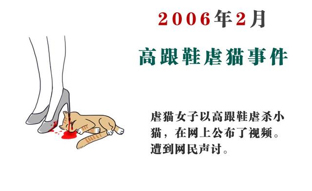 他连续虐杀9只流浪猫后消失,阳光的阴影下,罪恶在蔓延_虐待