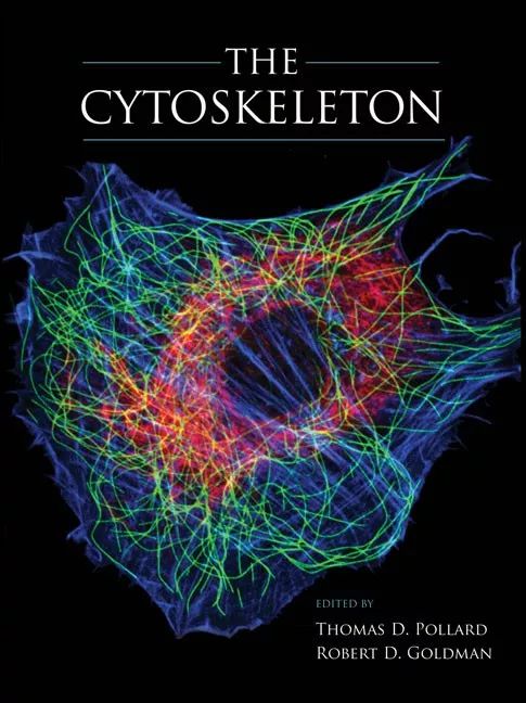 维持细胞形态的,就是由蛋白纤维构成的细胞骨架(见上图).