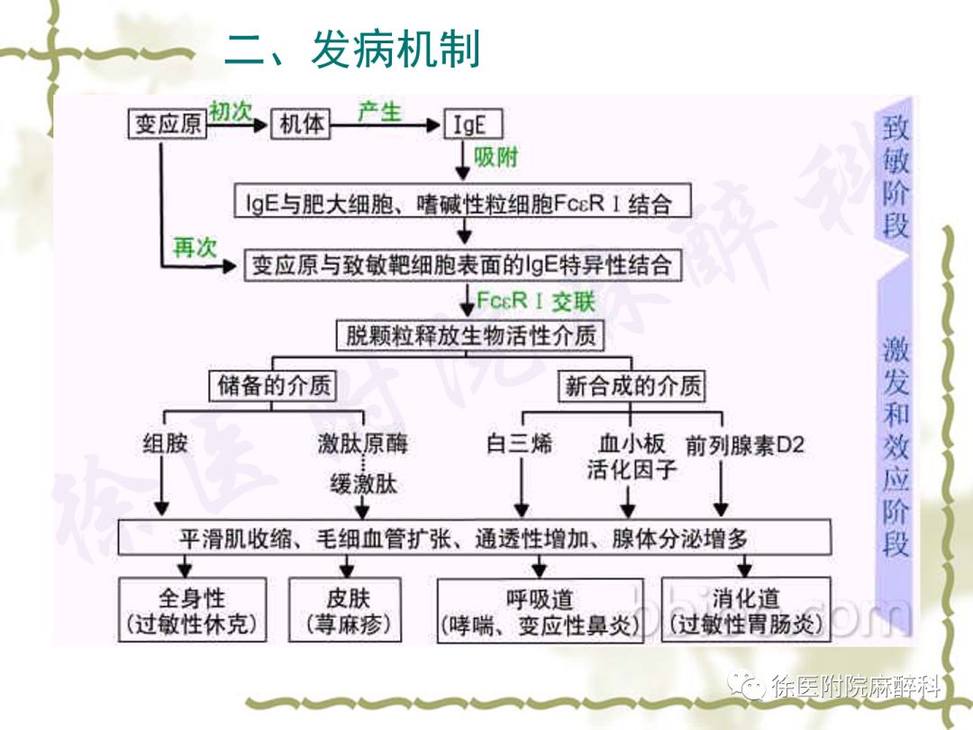 为严重过敏反应)是由多种因素诱发,通过免疫或非免疫等不同机制引起的