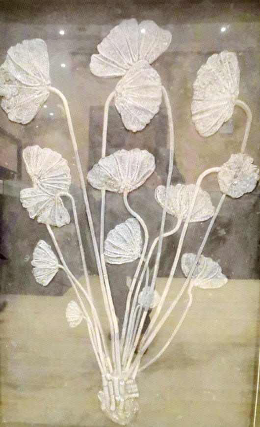 贵州日报旅游地学新视野之六圣洁之花海百合古生物化石