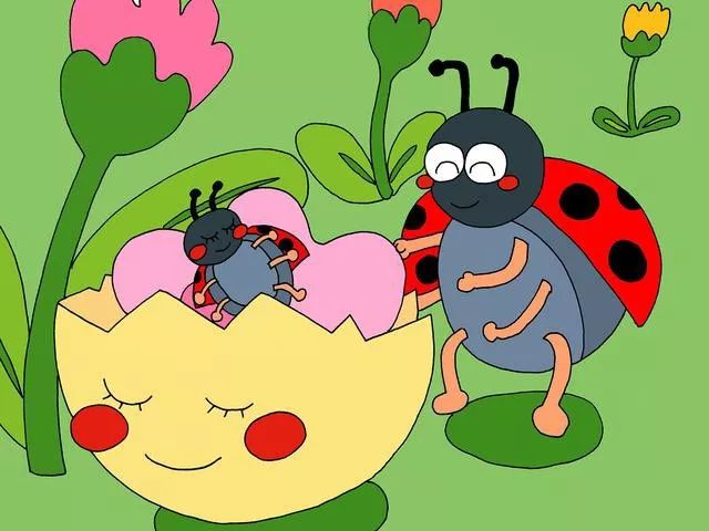 小蛋壳的故事涛哥的童话