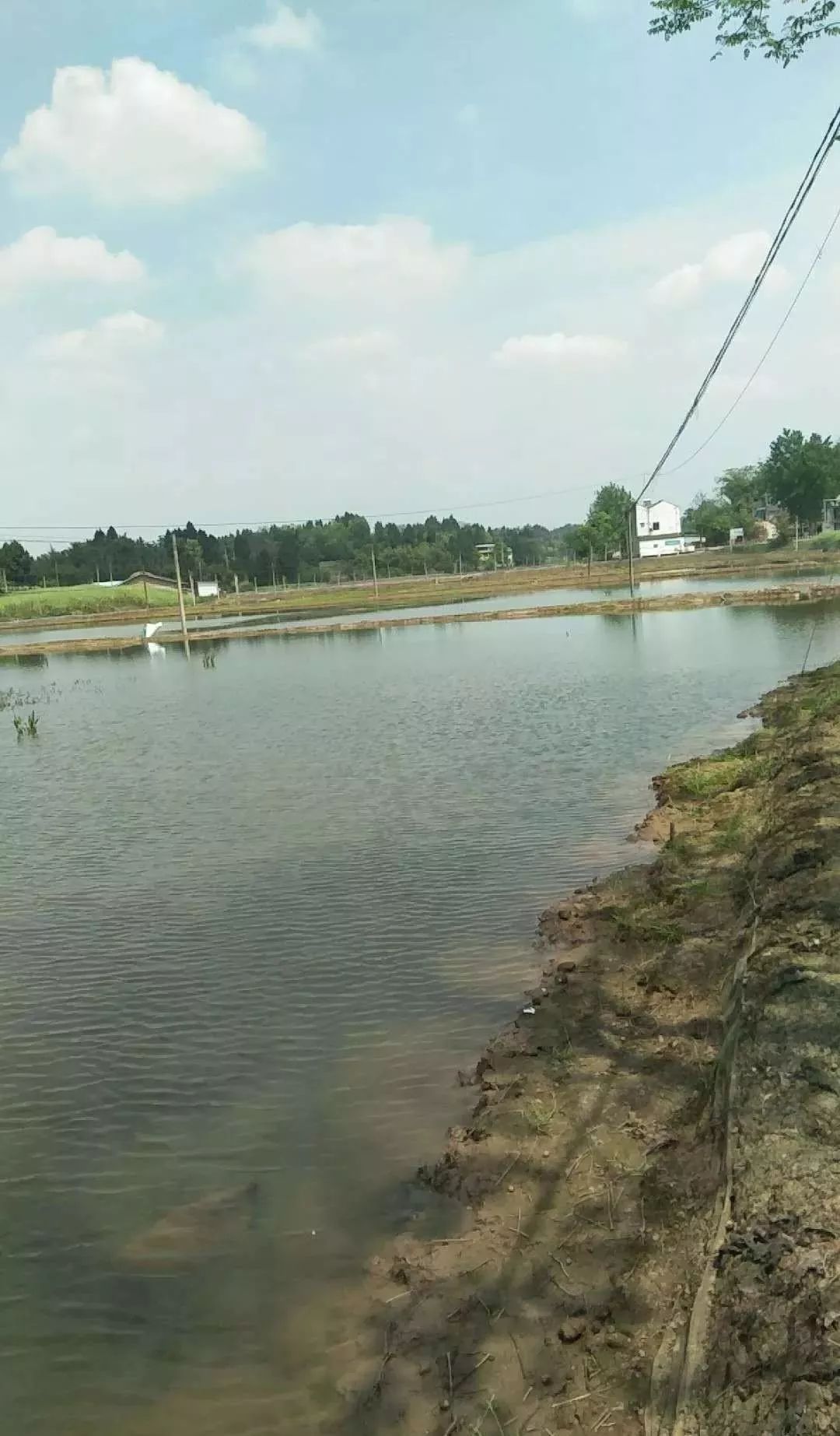 1,进入中午看水色最标准,因为