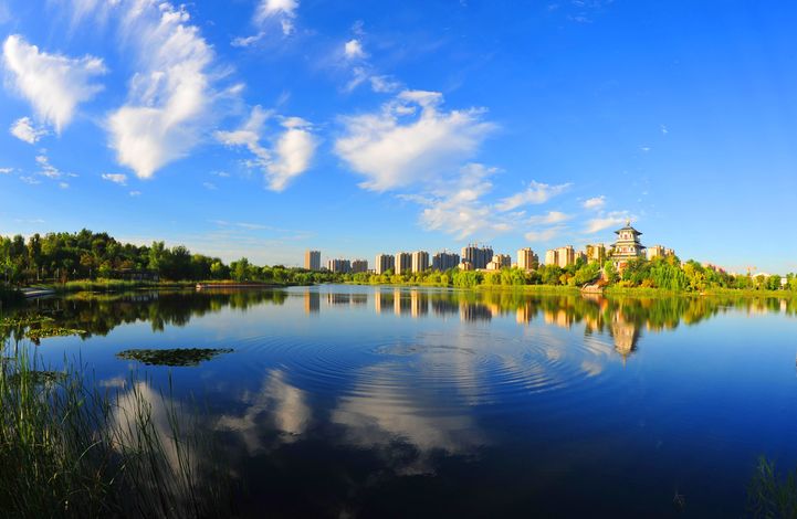 宁阳几乎日日"水晶天",沙琪玛的哥哥"利奇马"走后,瞧,咱山东银正处于