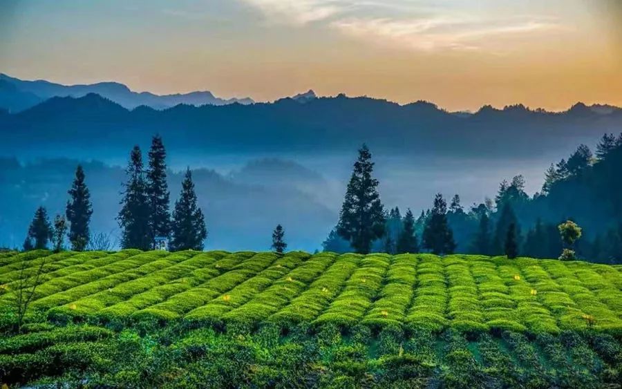 最美民宿相遇兰田