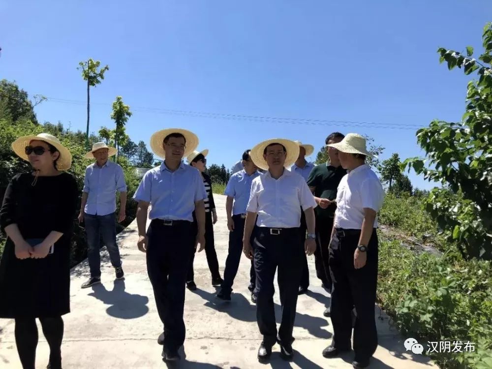 中国建设银行纪检监察组组长朱克鹏来汉阴调研脱贫攻坚工作