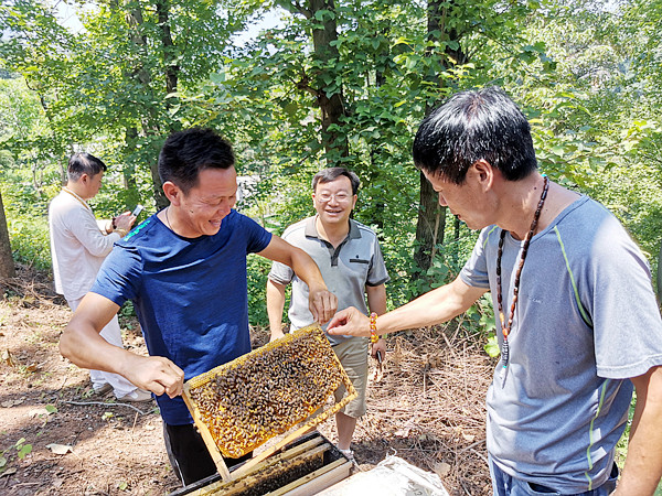 云南省热带作物研究所辣木研究中心张祖兵赴长流乡调研辣木产业图文