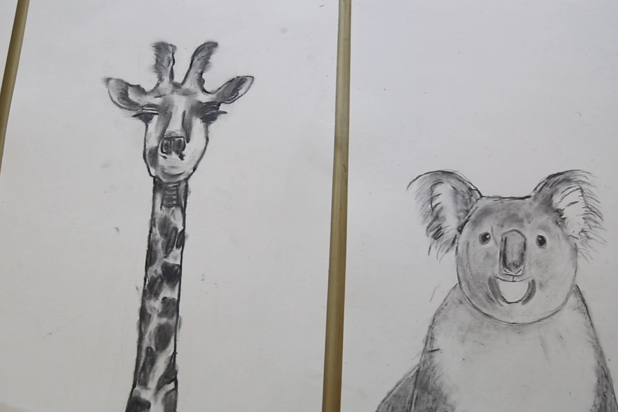 老师教大家用碳条 铅笔画动物 少儿铅笔画碳笔画长颈鹿 考拉熊猫