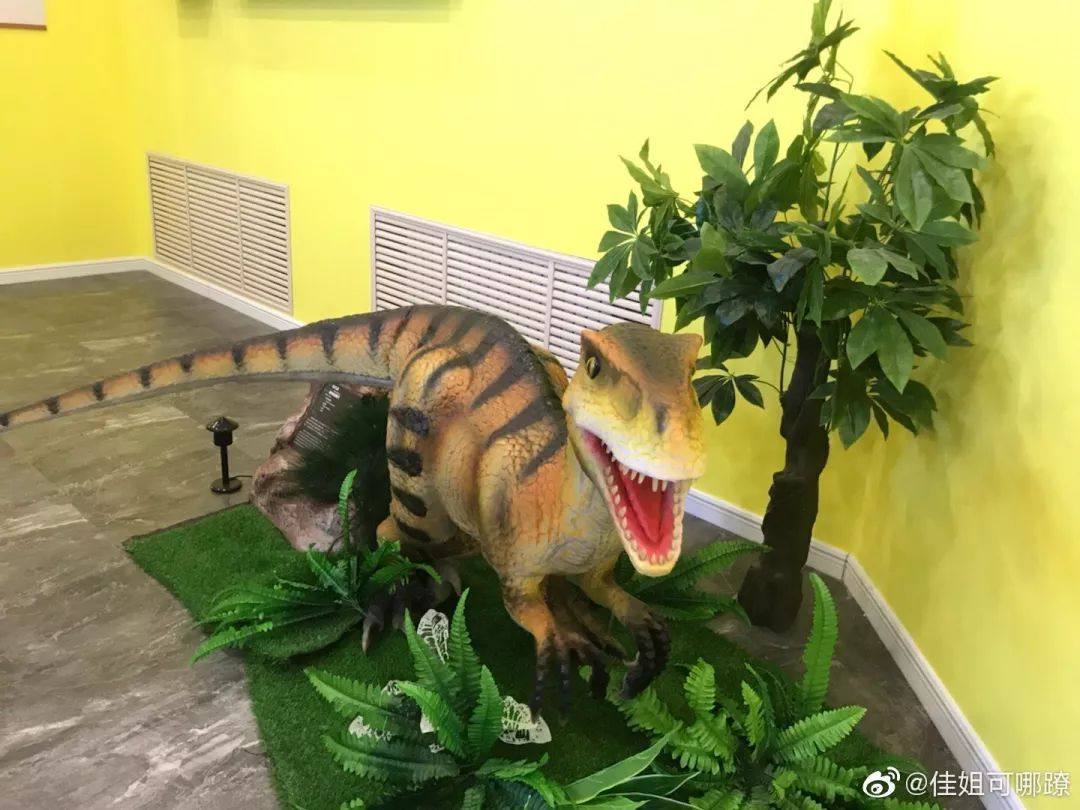 【送票】"长春龙来了"!净月潭沉浸式恐龙展览馆正式运行