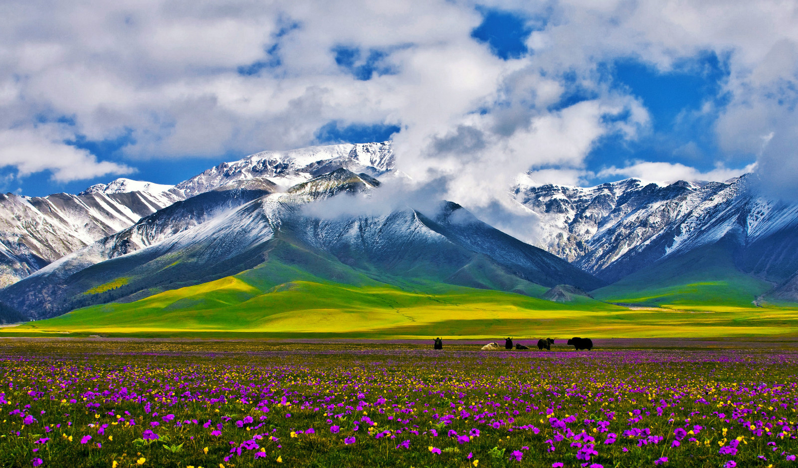 古城西安掀起最炫"赛里木湖风" 博州美景惊艳西安市民