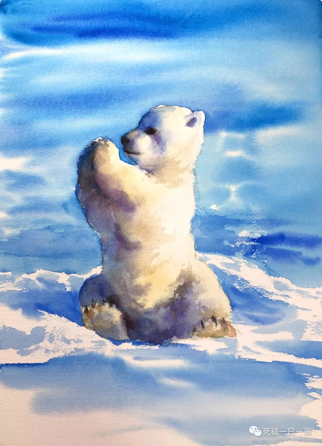 北极熊宝宝～顺便推荐综艺