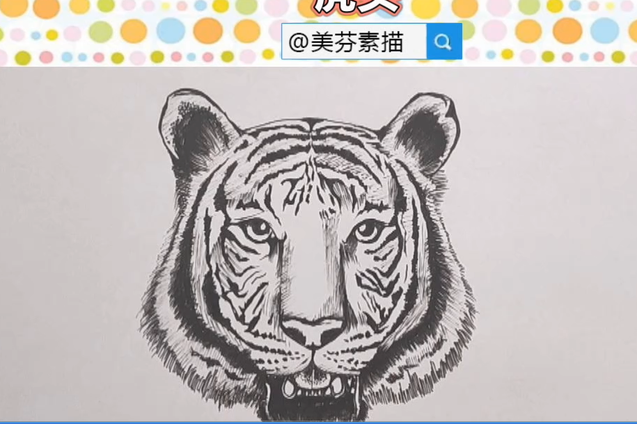 超逼真的老虎速写动物入门教程 霸气虎头素描简笔画画法视频教程