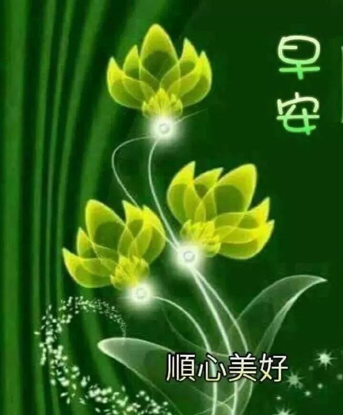 早上好漂亮表情问候祝福图片早安微信温馨祝福问候语录