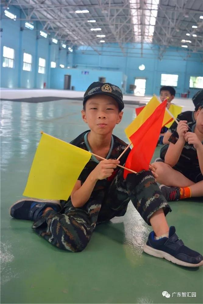 小小旗语兵优秀少年郎