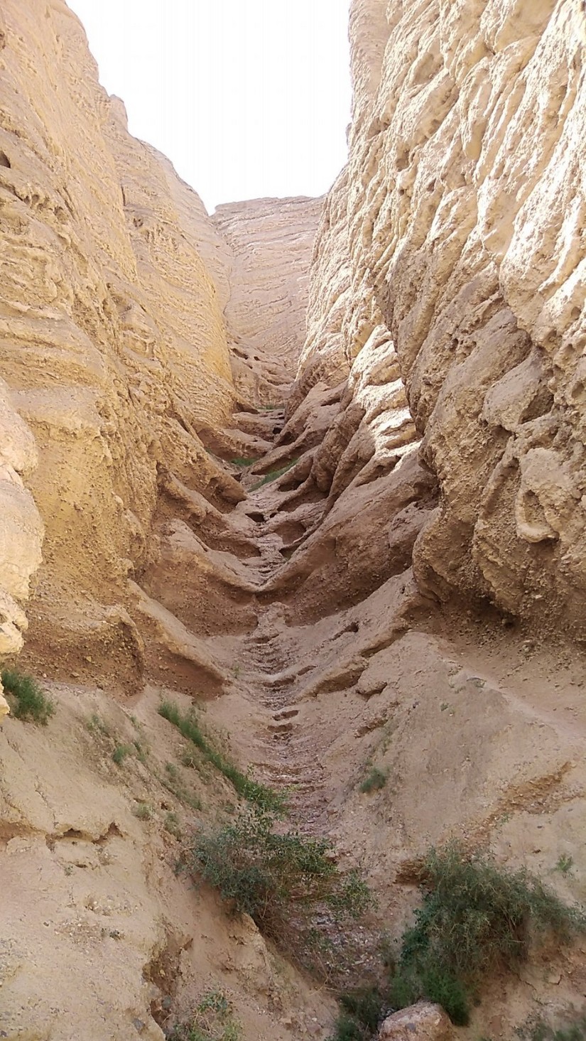 黄河石林|游览白银景泰黄河石林景区