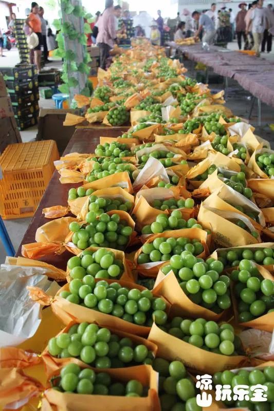 她来啦水果中的爱马仕在西昌甜蜜来袭特实惠一口爽到爆