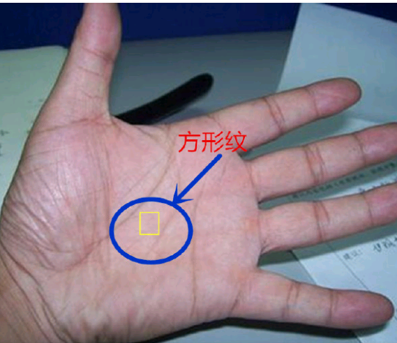 方形纹在手相中,金玉满堂,夫唱妇随,逢凶化吉!