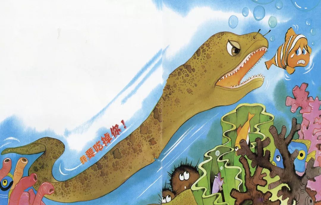 谁是小丑鱼的朋友?|朵妈讲故事no.570