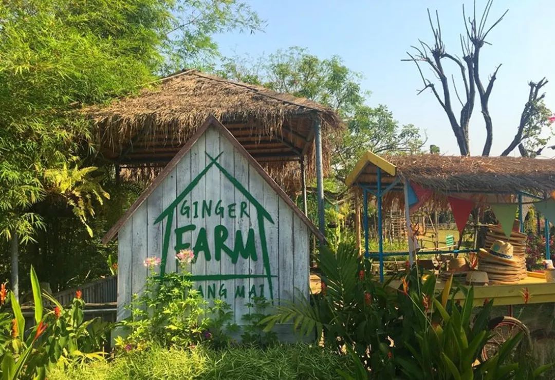 案例30亩小农场如何把亲子游做到极致