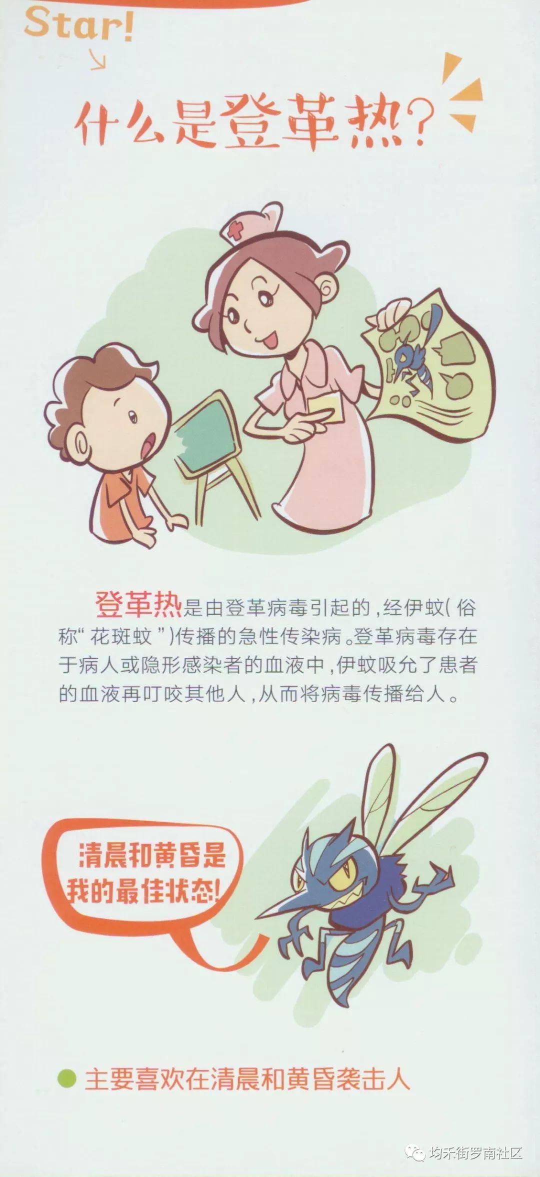 登革热防控 来自搜狐网
