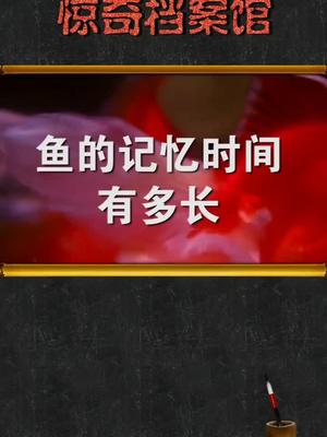 用科学解释告诉你鱼的记忆到底是不是只有7秒惊奇档案科普