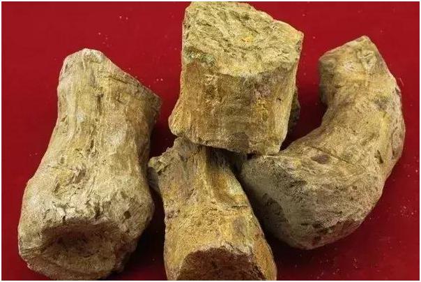 2019中国陇南宕昌中药材节