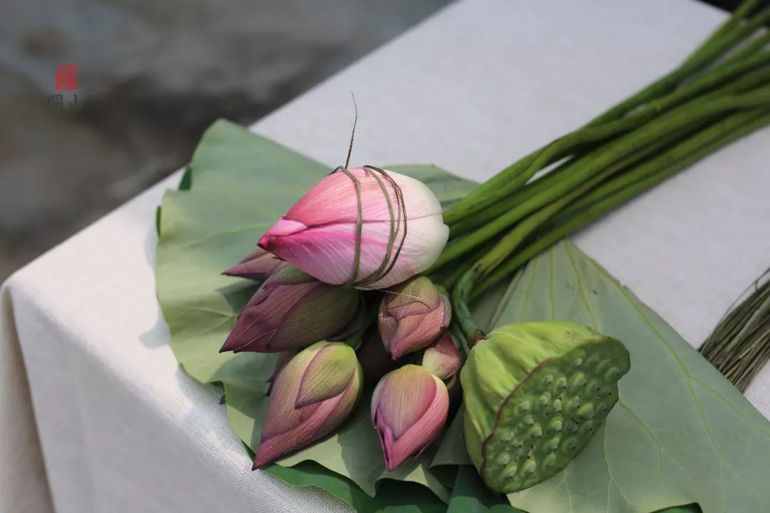 "所谓何事,与荷有关",湘湖雅集报名倒计时3天_荷花