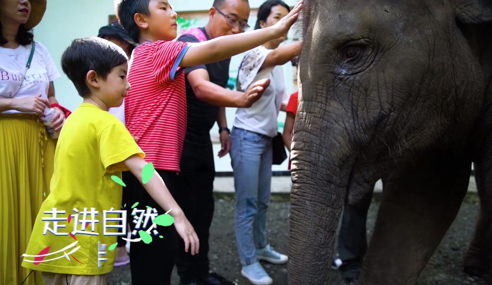 云南电视台陈羽毛资料图片