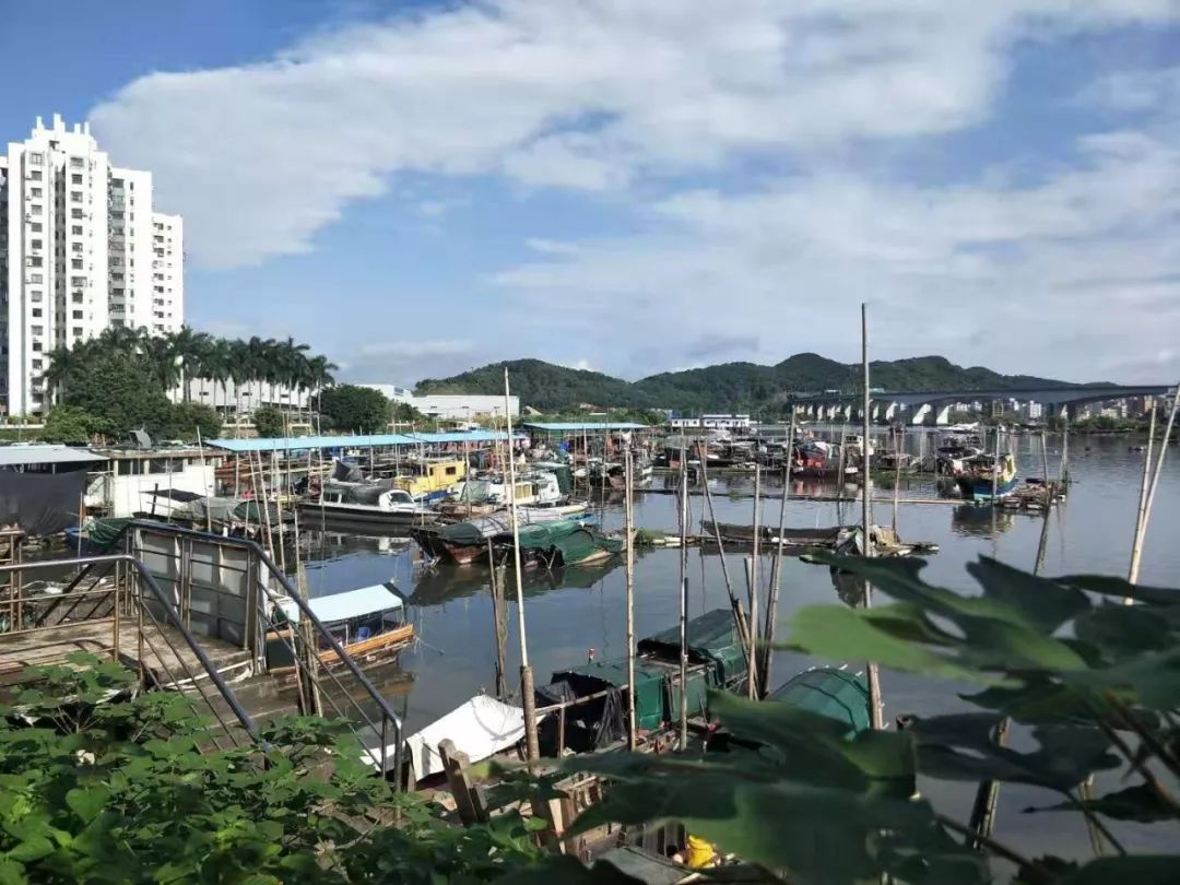 开渔之后品美味海鲜看渔家风情怎么少得了虎门新湾