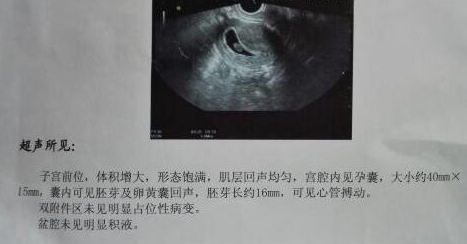 孕8周和9周胚芽17mm,該怎麼辦啊?_胎兒