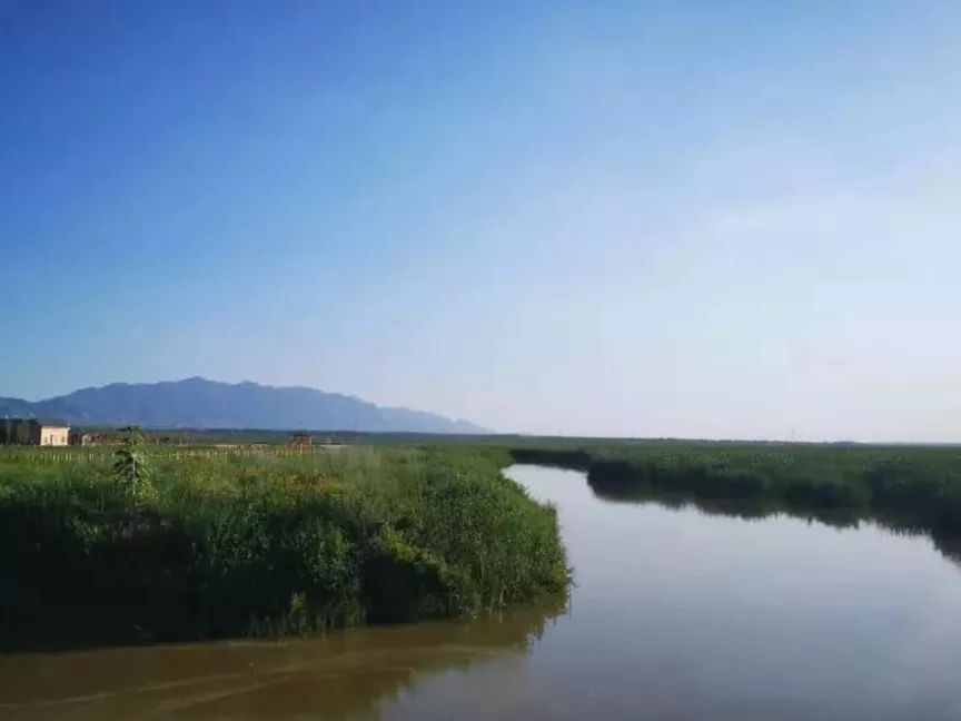 桑乾河國家溼地公園