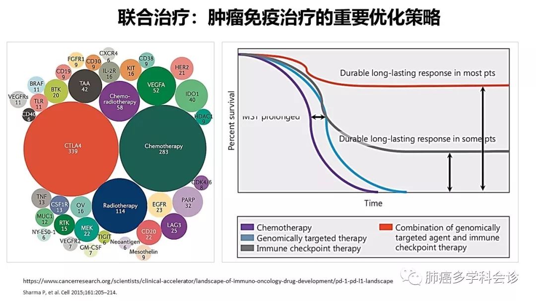 卡瑞利珠单抗ppt图片